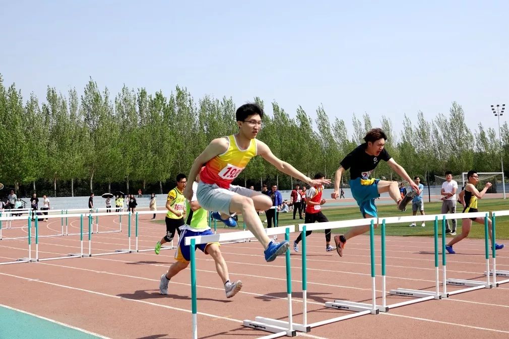 中文黄色网站