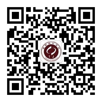 中文黄色网站