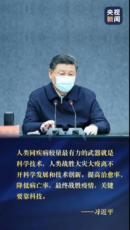 中文黄色网站
